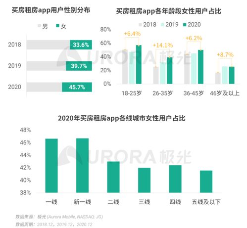 《2020年Q4移动互联网行业数据研究报告 极光视角下的互联网数据服务洞察》