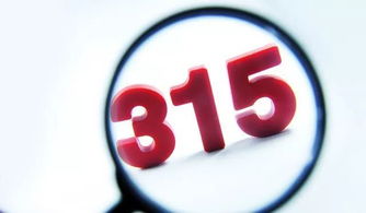 3·15晚会后的A股48小时 19家公司受波及，8家回应澄清，高科技与数据服务行业成焦点